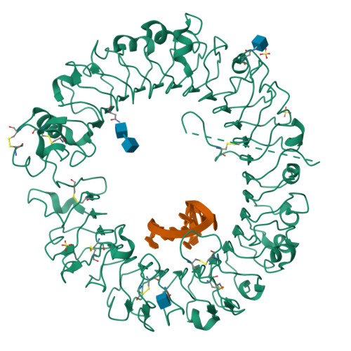 Tlr9 Structure RCSB PDB - 3WPD: Crystal structure of horse TLR9 in complex with ...