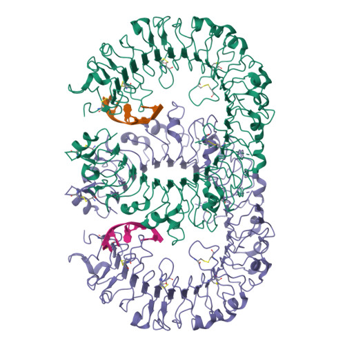 Tlr9 Structure RCSB PDB - 3WPE: Crystal structure of bovine TLR9 in complex with ...
