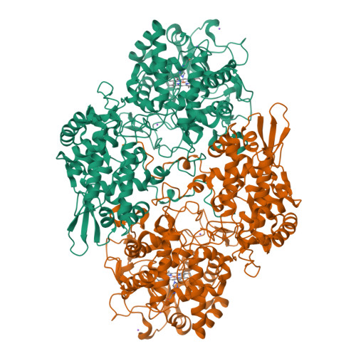 rcsb pdb - 6pt7: structure of kate1 catalase from... RCSB PDB - 3X16: Crystal structure of the catalase-peroxidase KatG W78F ...