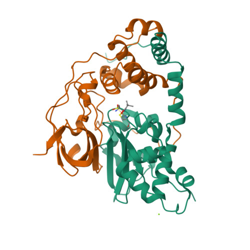 RCSB PDB - 3X24: Crystal structure of Nitrile Hydratase mutant 