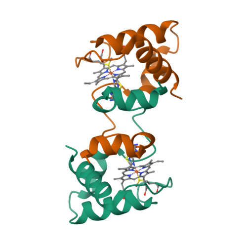 RCSB PDB - 3X39: Domain-swapped dimer of Pseudomonas aeruginosa