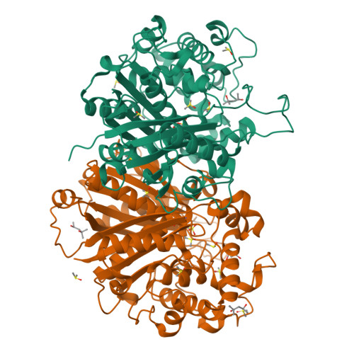 Scp2 Function RCSB PDB - 3ZBG: Crystal structure of wild-type SCP2 thiolase from ...