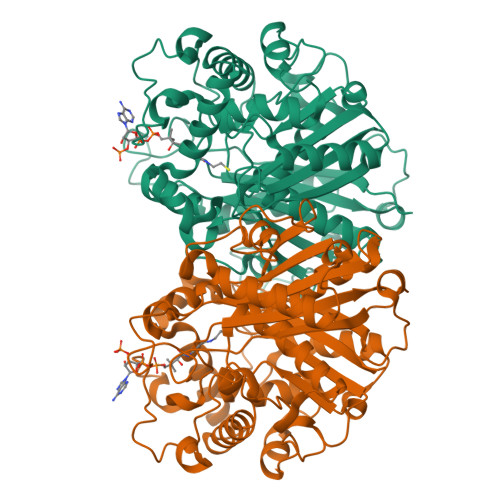 Rcsb Pdb 3zbn Crystal Structure Of Scp2 Thiolase From Leishmania Mexicana Complex Of The