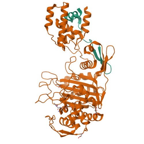 RCSB PDB - 3ZG9: Crystal Structure of Penicillin-Binding Protein 4 from ...