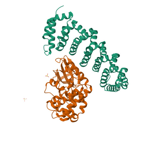 PDB 3ZHP