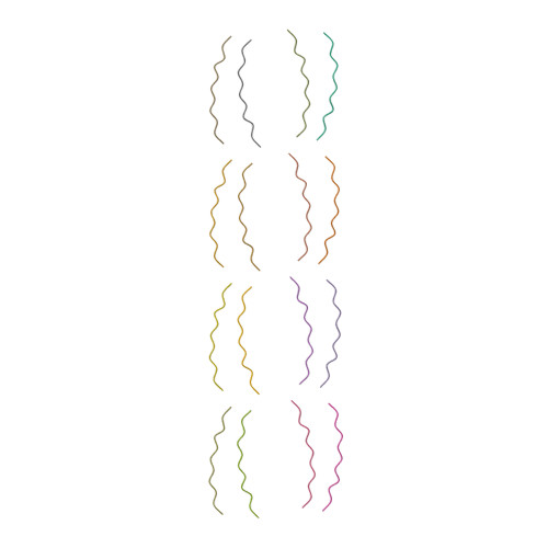 Comparison of different amyloid fibril structures. Although all