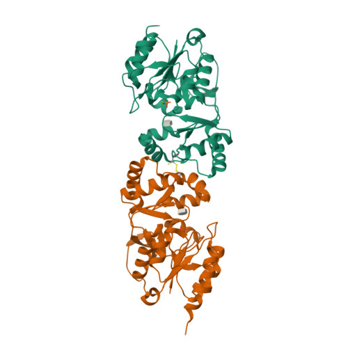 RCSB PDB - 3ZX4: The 3-dimensional structure of MpgP from Thermus