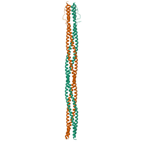 RCSB PDB - 3ZX6: Structure of Hamp(AF1503)-Tsr fusion - Hamp