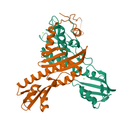RCSB PDB - 3ZXU: Crystal structure of the Ctf19-Mcm21