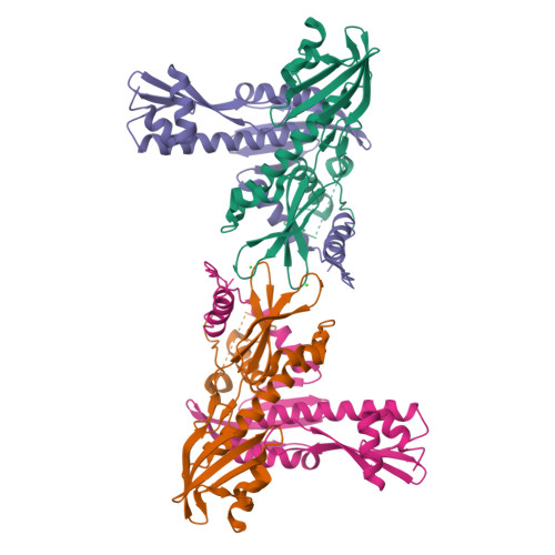 KONページ Kon's Labo – コンズサイクル WEBSTORE ネットで注文