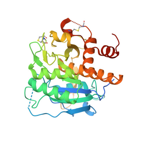 RCSB PDB - 3ZXX: Structure of self-cleaved protease domain of PatA