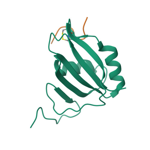 RCSB PDB - 3ZZY: Crystal Structure Of A Raver1 PRI3 Peptide In Complex ...