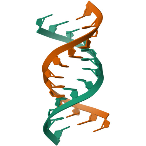 RCSB PDB - 413D: A'-FORM RNA DOUBLE HELIX IN THE SINGLE CRYSTAL ...