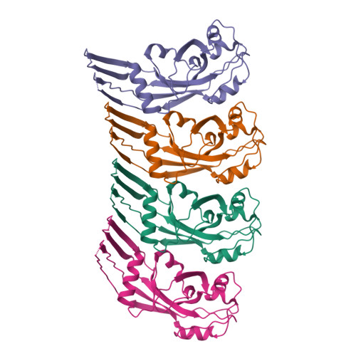 Structure 43DP