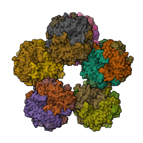 Structure 43DY