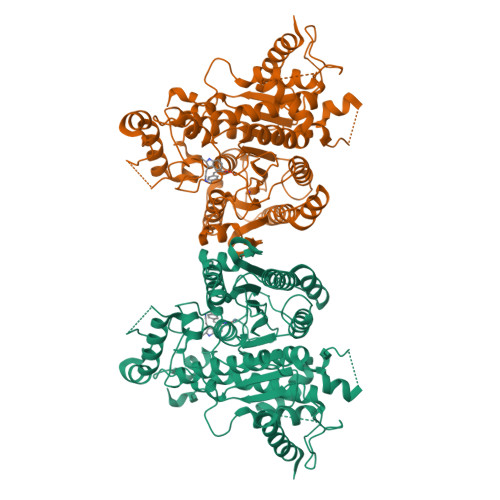 Structure 43EA