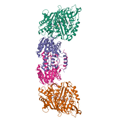 Structure 43FX