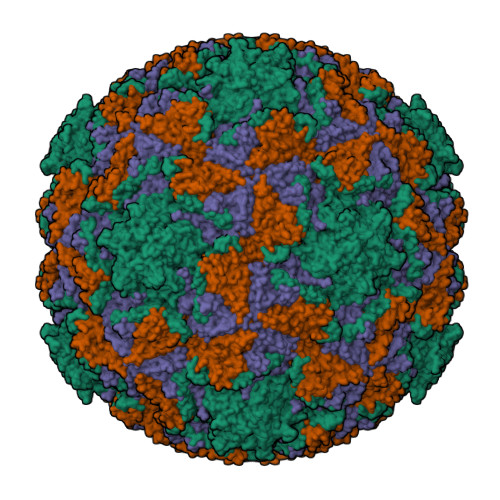 Structure 43MI