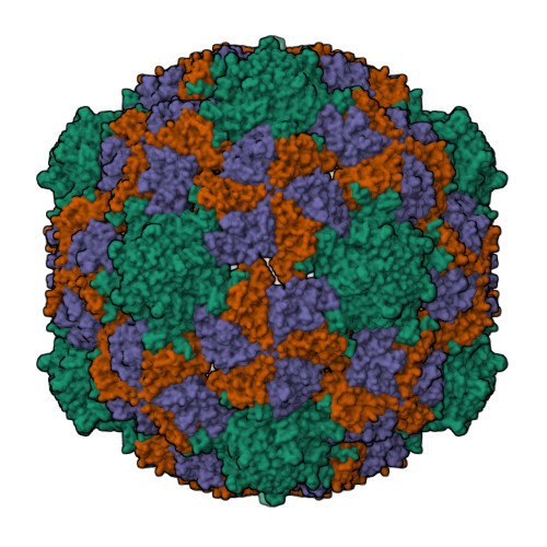 Structure 43MU