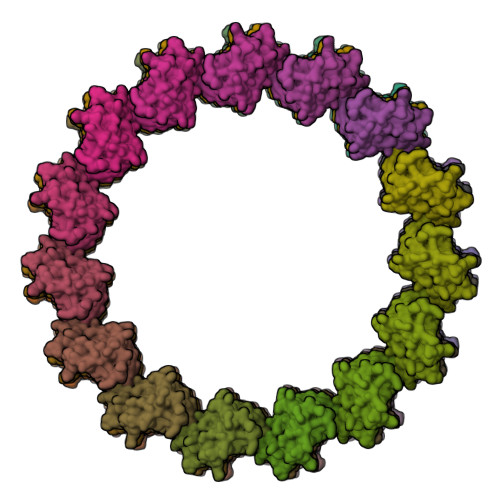 Structure 43OF
