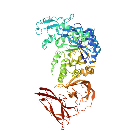 Structure 43WJ