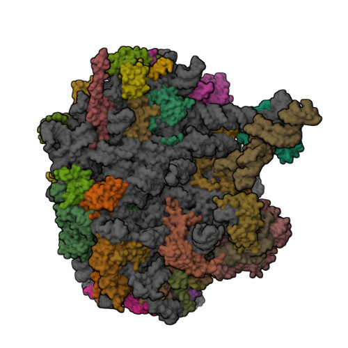 Structure 44BB