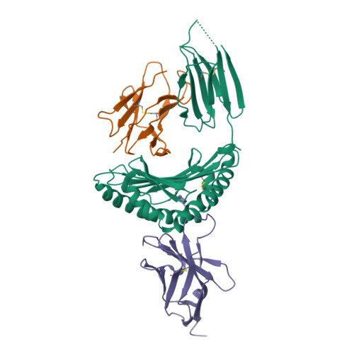 Structure 45AS