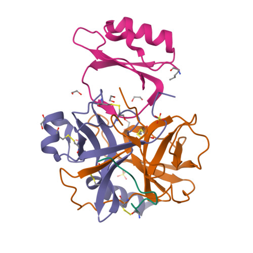Structure 45CM