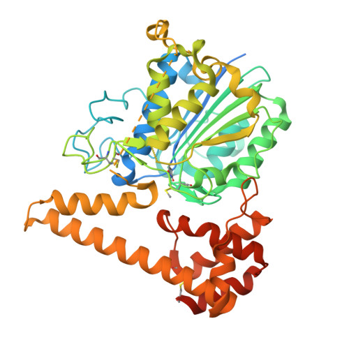 Structure 45ZO