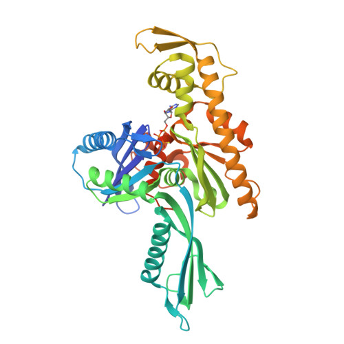 Ftsa Structure RCSB PDB - 4A2B: Thermotoga maritima FtsA with ATP gamma S