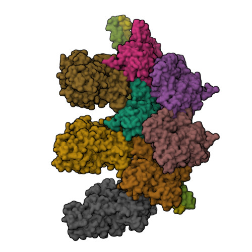 RCSB PDB - 4A7F: Structure of the Actin-Tropomyosin-Myosin Complex ...