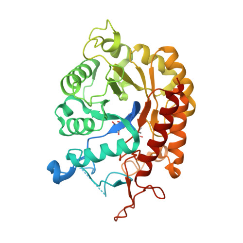 3D Image of Bis-tris Propane Skeletal Formula Stock Illustration -  Illustration of molecular, component: 276343137
