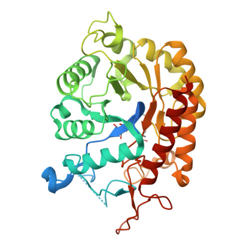 3D Image of Bis-tris Propane Skeletal Formula Stock Illustration -  Illustration of molecular, component: 276343137