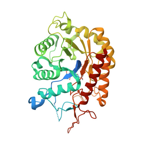 3D Image of Bis-tris Propane Skeletal Formula Stock Illustration -  Illustration of molecular, component: 276343137