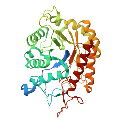 3D Image of Bis-tris Propane Skeletal Formula Stock Illustration -  Illustration of molecular, component: 276343137