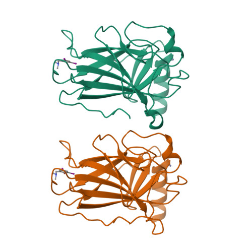 RCSB PDB - 4AGL: Structure of the p53 core domain mutant Y220C