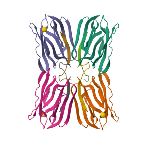 biotin and glutathione interaction Full article: Detection of Protein-Protein Interactions Using Nonimmune IgG Bira-Mediated Biotinylation Vitamin C and glutathione supplementation: