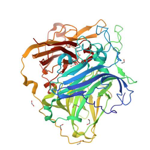 RCSB PDB - 4AKQ: Mutations in the neighbourhood of CotA-laccase 