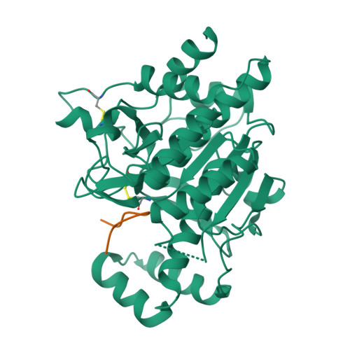 Rcsb Pdb 4akt Patg Macrocyclase In Complex With Peptide