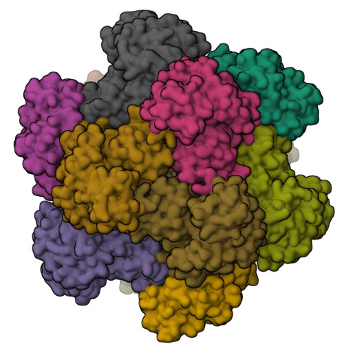 RCSB PDB - 4AMU: Structure of ornithine carbamoyltransferase from ...