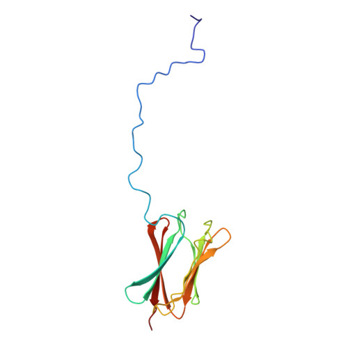 RCSB PDB - 4AQZ: B2 Domain Of Neisseria Meningitidis Pilus Assembly ...