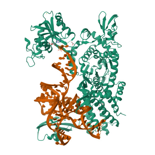 RCSB PDB - 4ARI: Ternary complex of E. coli leucyl-tRNA synthetase