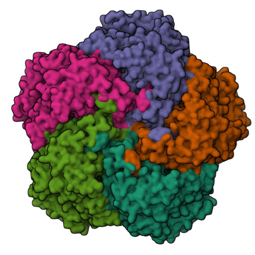 AUAページ RCSB PDB - 4AU6: Location of the dsRNA-dependent polymerase, VP1