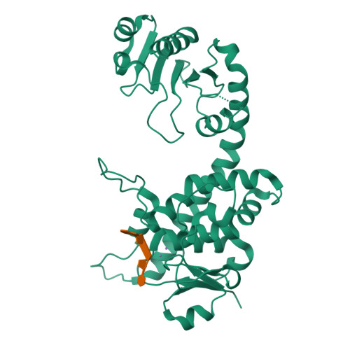 24BP assembly