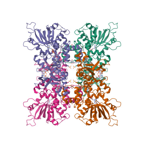 L-ornithine N(5)-monooxygenase structure