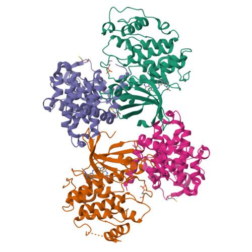 RCSB PDB - 4BCO: Structure of CDK2 in complex with cyclin A and a