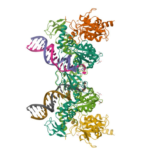RCSB PDB - 4BE1: PFV intasome with inhibitor XZ-116