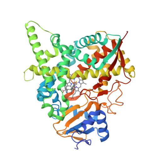 RCSB PDB - 4BJK: CYP51 of Trypanosoma brucei bound to (S)-N-(3-(1H ...