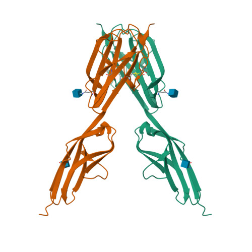 Rcsb Pdb 4bsj Crystal Structure Of Vegfr 3 Extracellular Domains D4 5