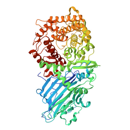 RCSB PDB - 4C1P: Geobacillus thermoglucosidasius GH family 52